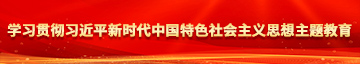 插屄网址学习贯彻习近平新时代中国特色社会主义思想主题教育